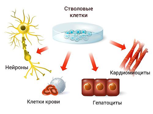 csm_str.10_RU_813b9ba0ba.jpg